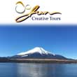 JUN Creative Tours